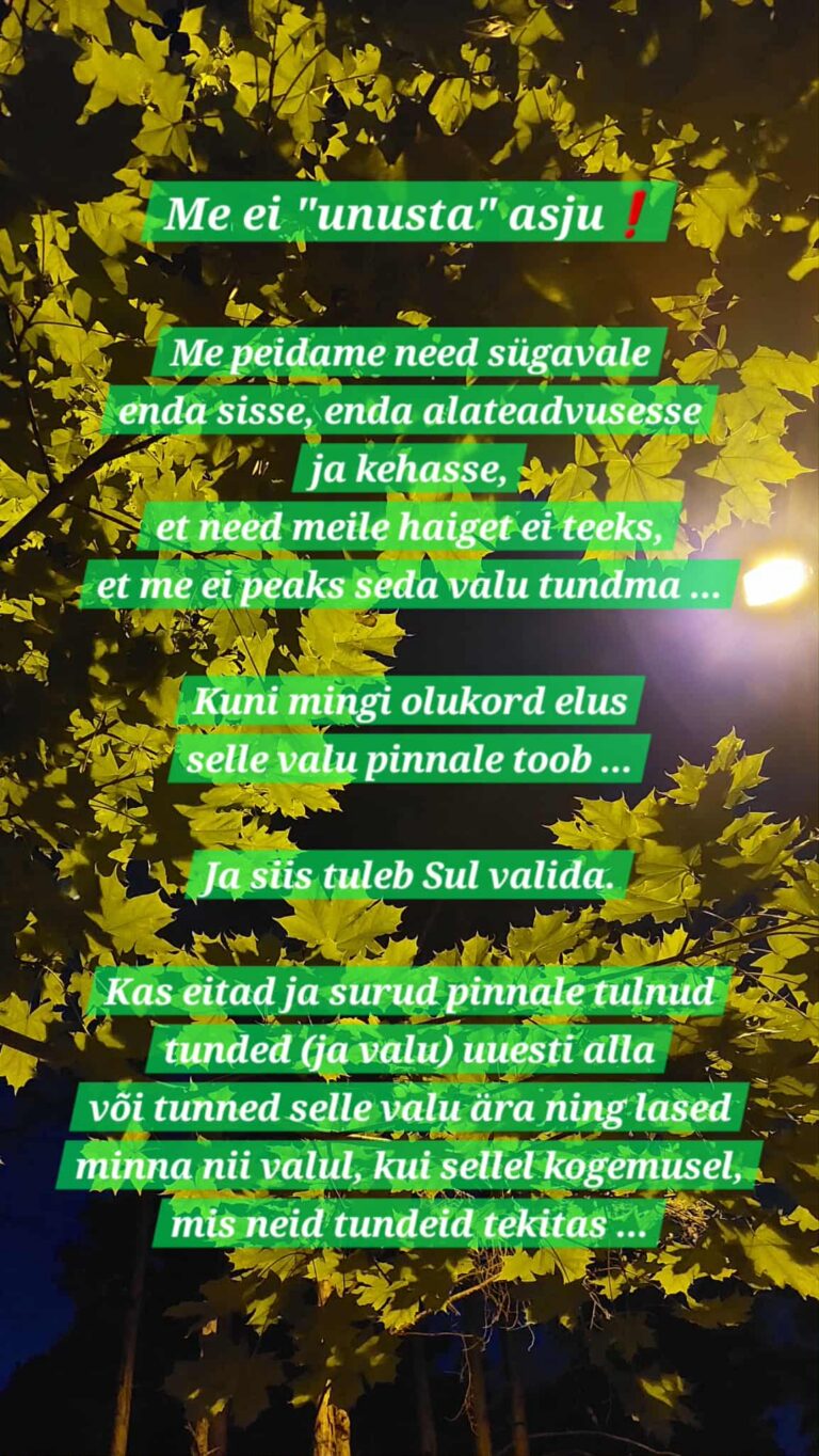 Petmised, me ei unusta asju