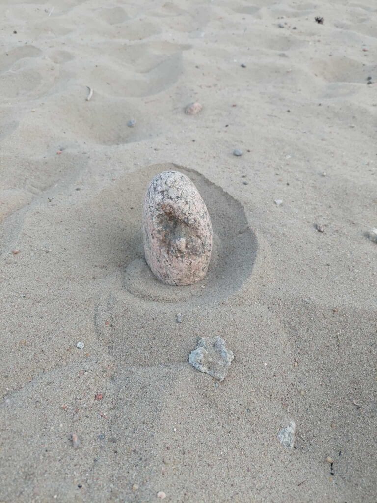 Iseseisvus või ellujäämismehhanism